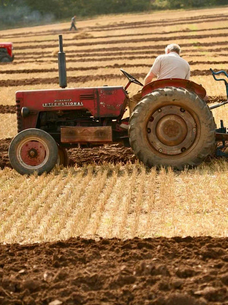 East Kent Ploughing Match, Quex Park, Birchington, Kent