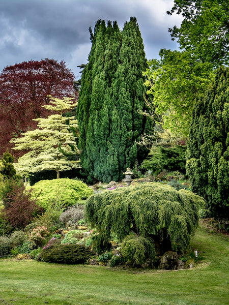 Plant Fairs Roadshow, Mount Ephraim, near Faversham