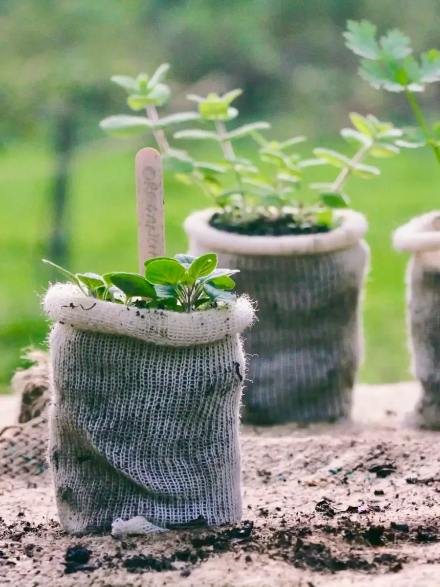 Six Reasons Why You Should Use Wool In Your Garden