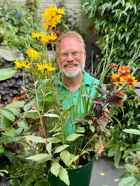 Summer Into Autumn - How To Keep Your Garden Blooming Beautifully