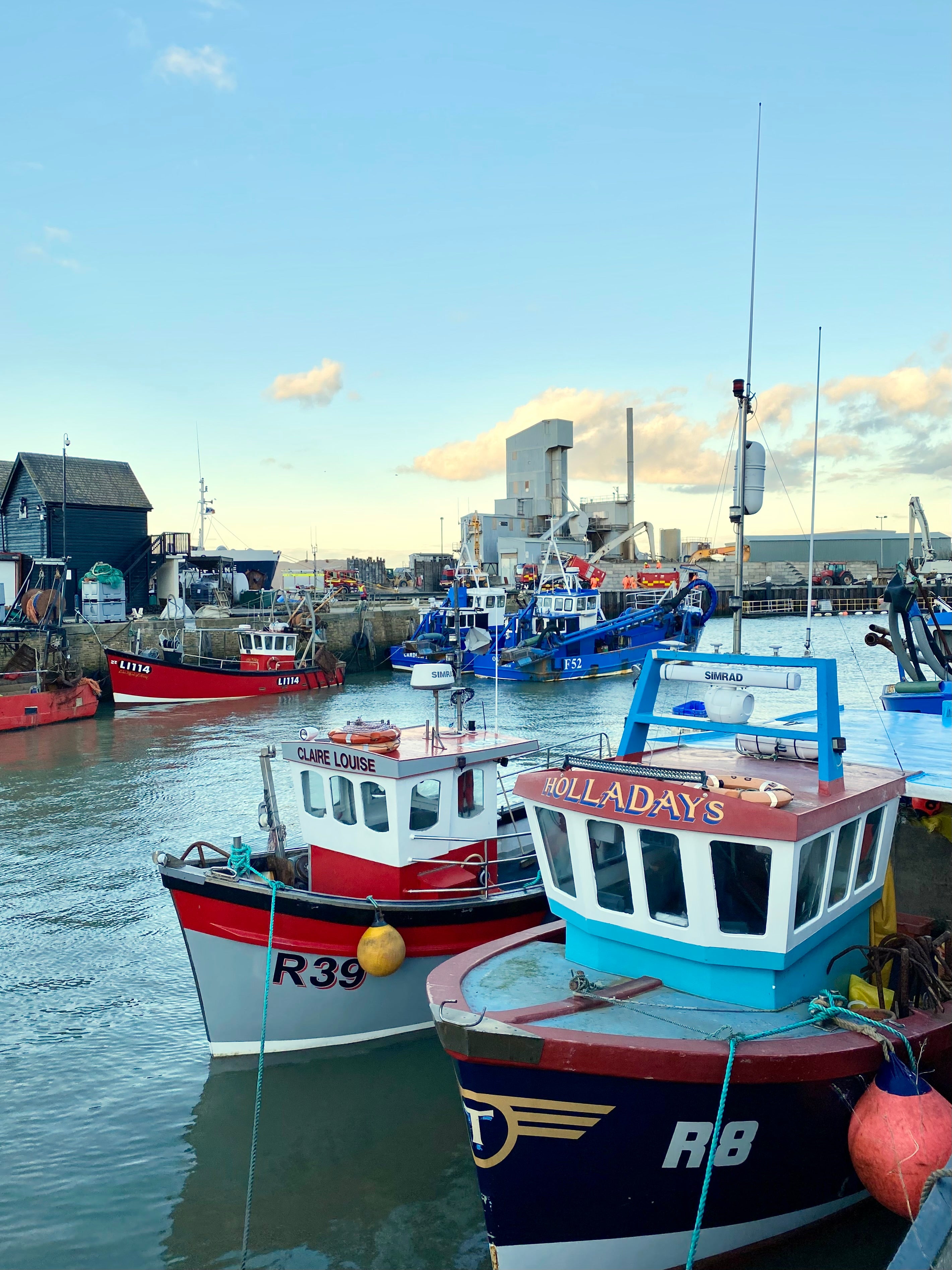 WE SELL BY THE SEA, WHITSTABLE Dan Cooper Garden