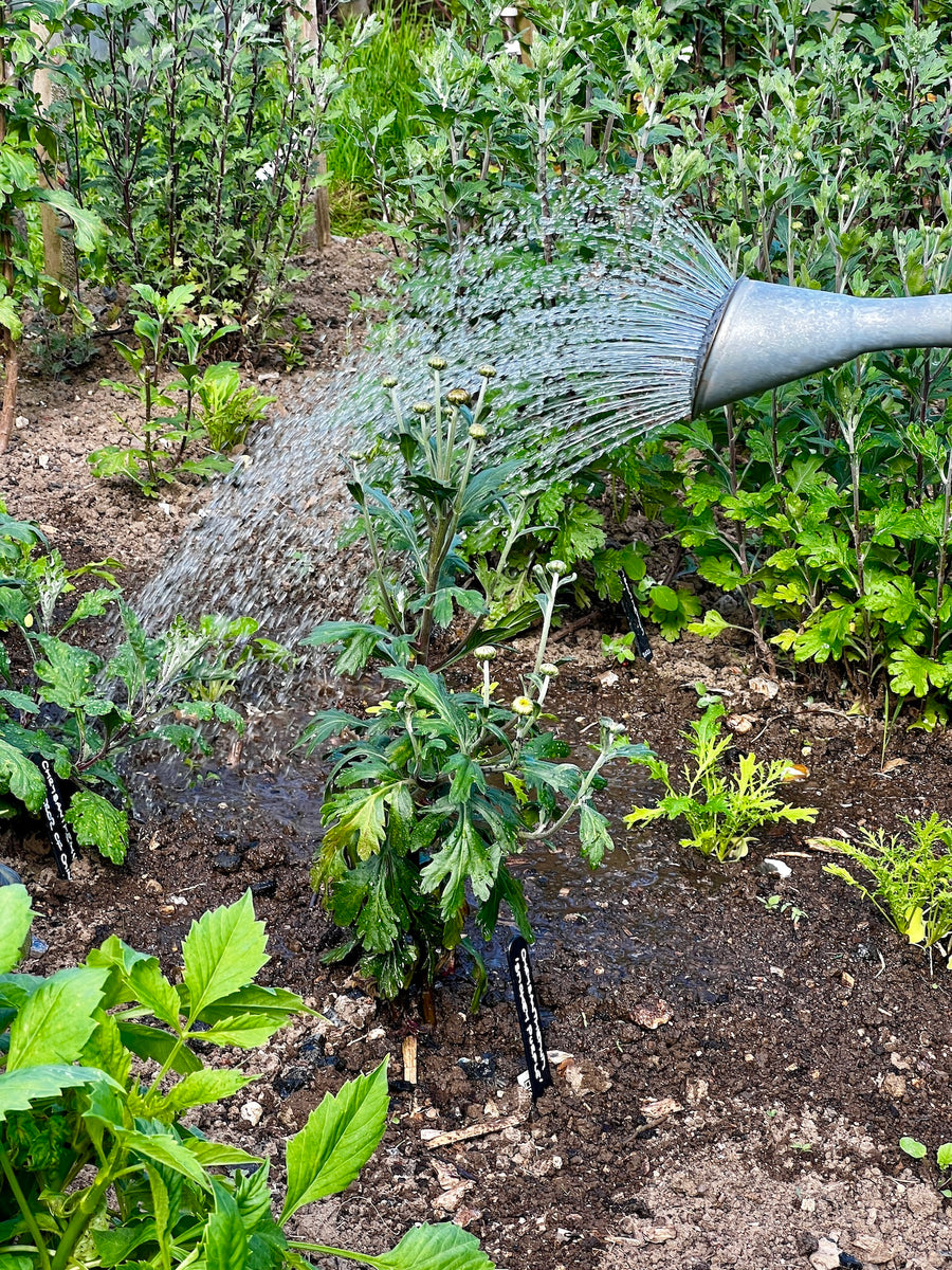 Helpful Hosepipe Ban Hacks