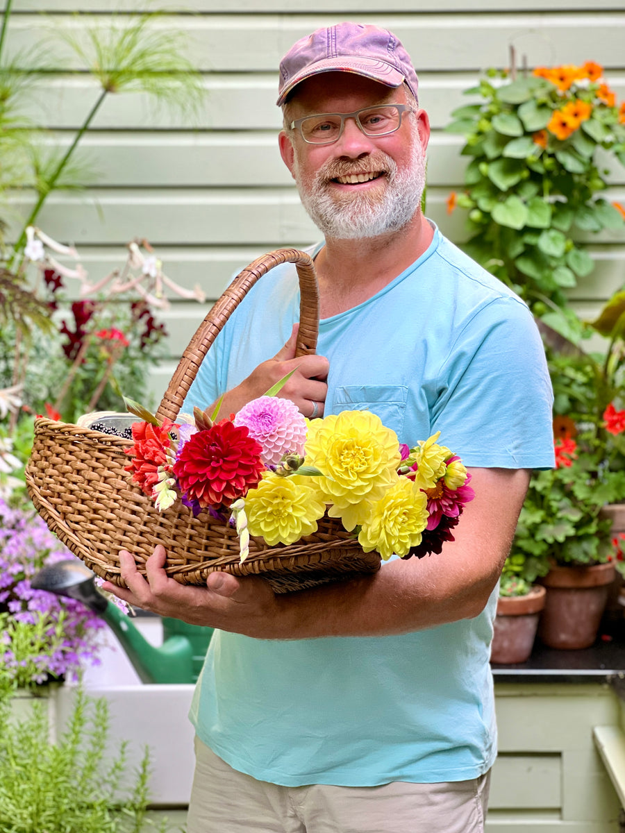 How To Cut And Care For Flowers