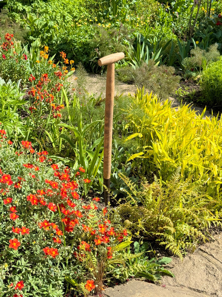 Your Garden In May