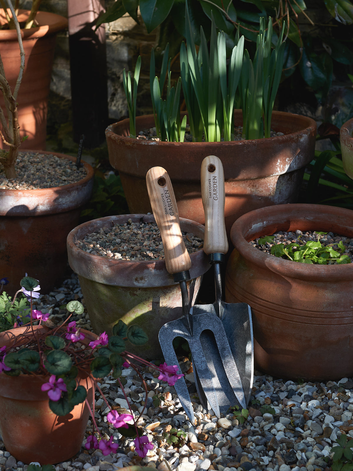 Dan Cooper Garden