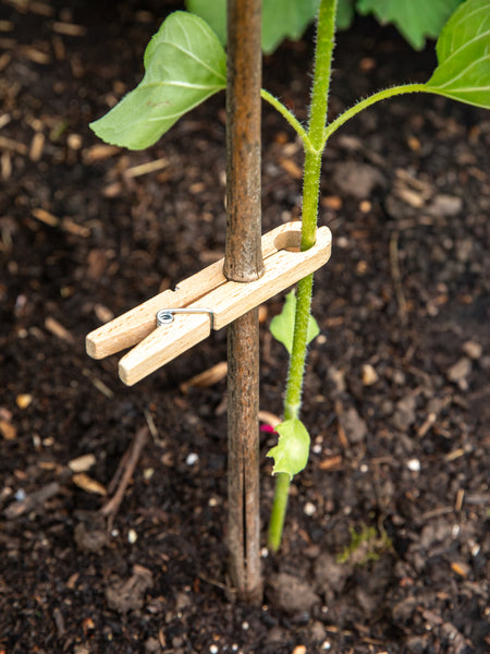 Redecker Cane Clamps, Set of 5