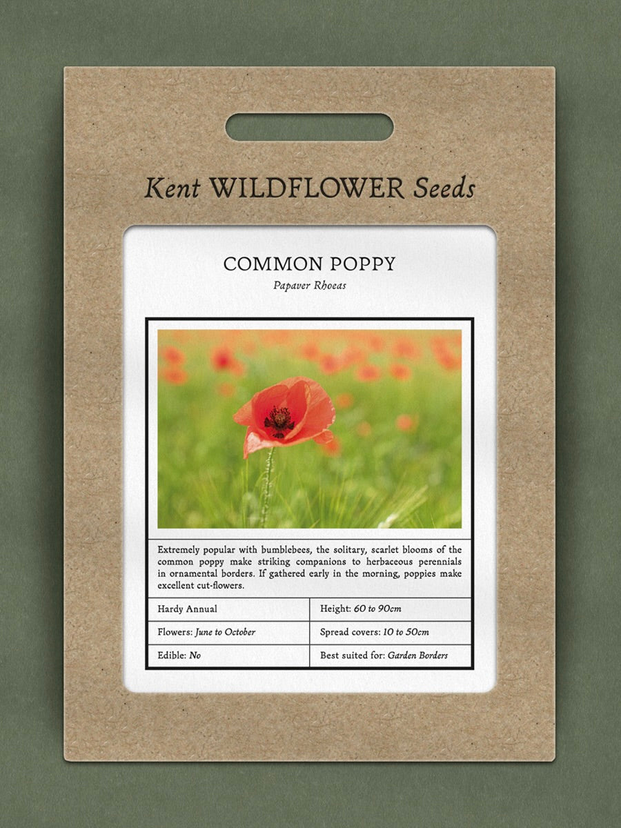 Kent Wildflower Seeds