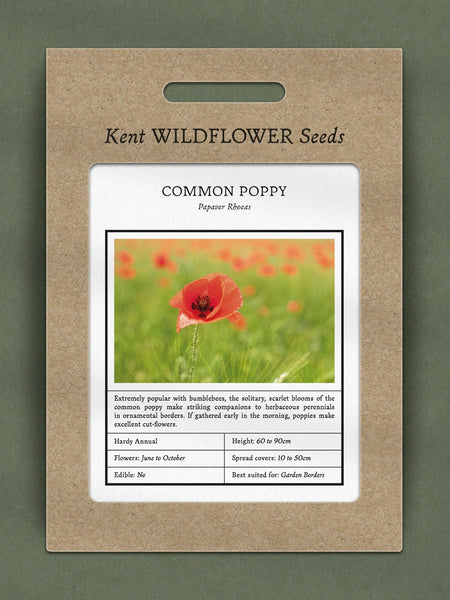 Kent Wildflower Seeds - Corn Poppy (Papaver rhoeas)