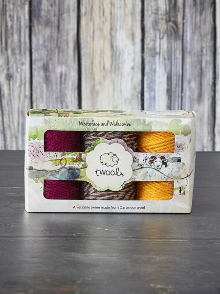 Twool Sustainable Wool Garden Twine Gift Box, Magenta/Navy twist/Yellow