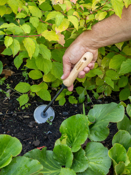 Signature Disc Weeder