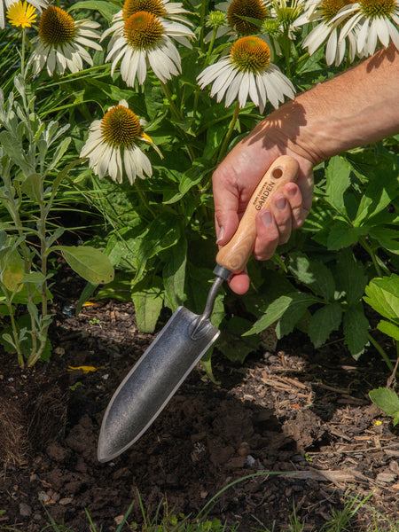 Signature Slim Transplanting Trowel