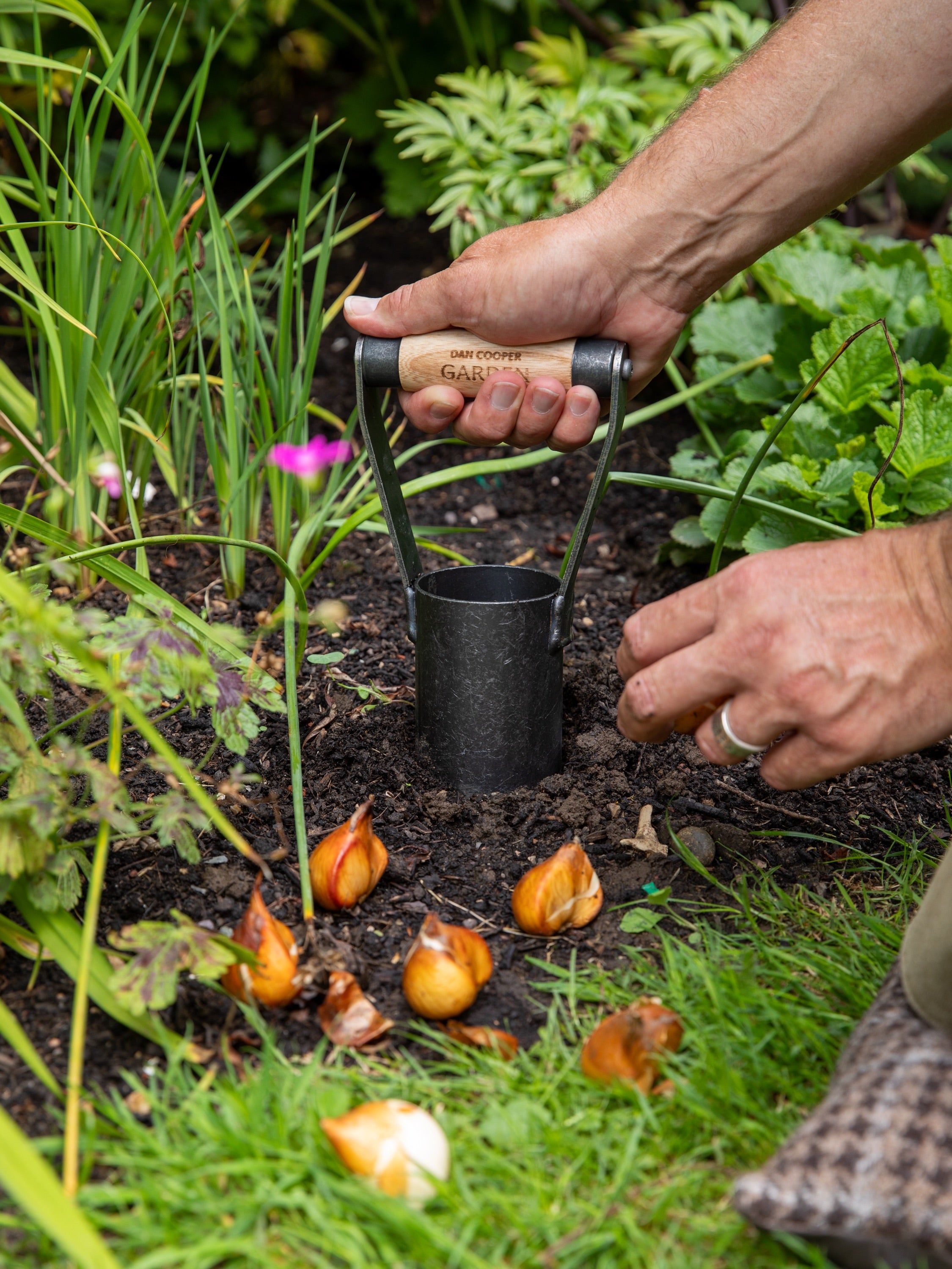How to Plant Bulbs Without a Bulb Planter