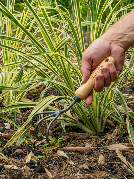 Signature Claw Cultivator