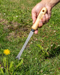 Signature Dandelion Weeder