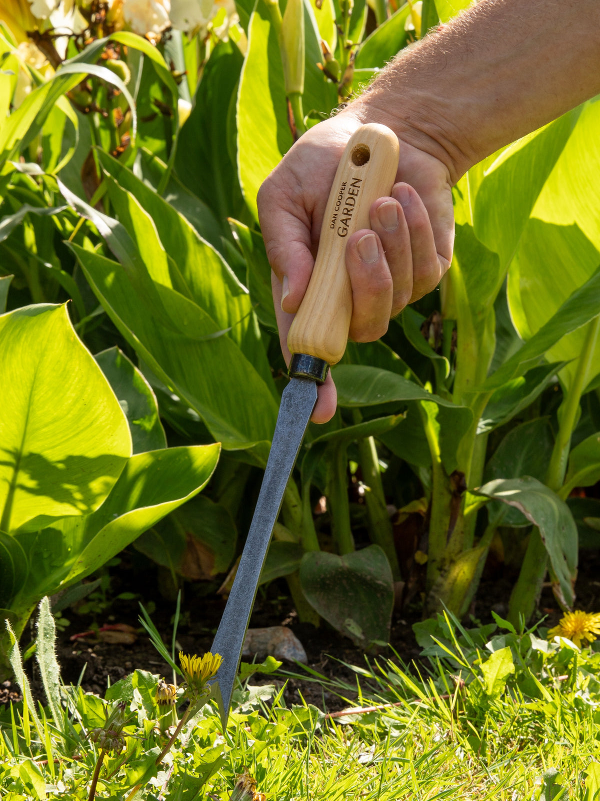 Signature Dandelion Weeder