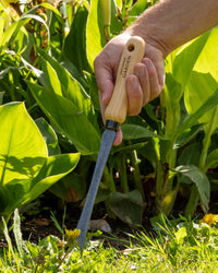 Signature Dandelion Weeder