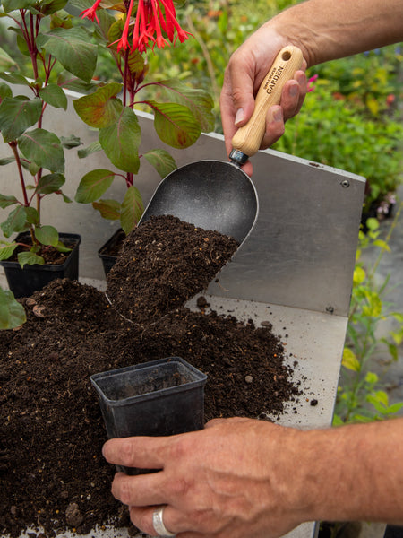 Signature Garden Scoop