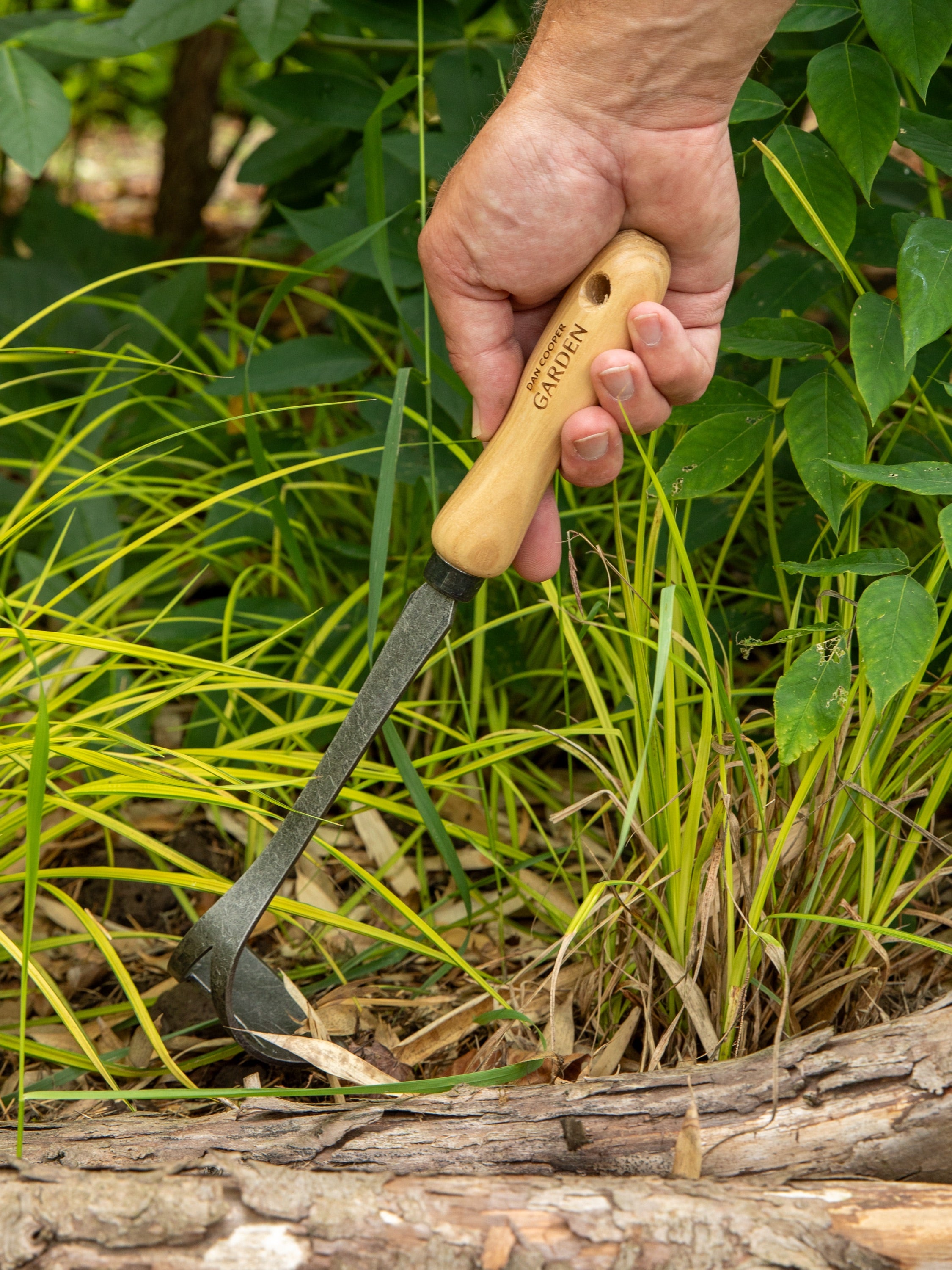 DAN_COOPER_GARDEN_SIGNATURE_HA