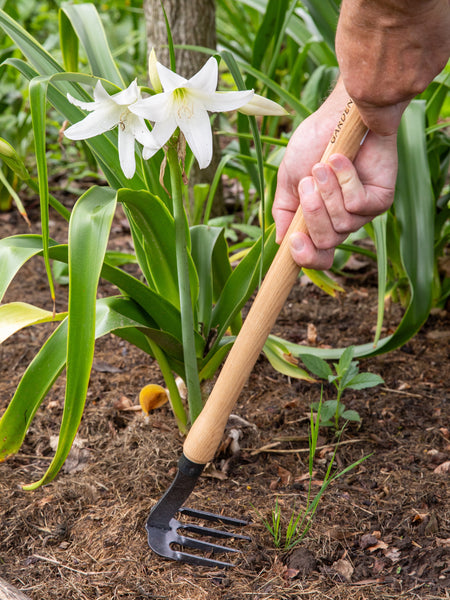 Signature Mid-Length 4 Tine Weeder & Cultivator