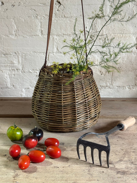 Signature Sussex Forager's Basket