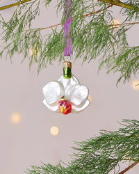 Dan Cooper Garden Moth Orchid Christmas Decoration