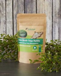 Box Tree Moth Trap Refills x 4
