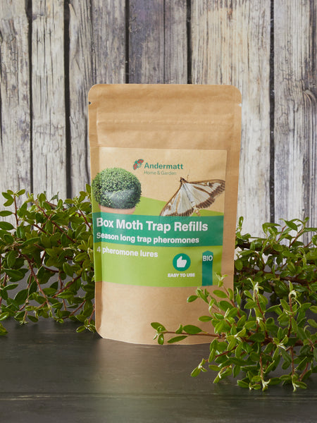 Box Tree Moth Trap Refills x 4