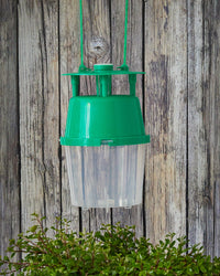 Compact Box Tree Moth Trap