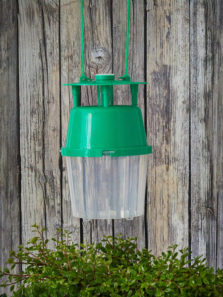 Compact Box Tree Moth Trap