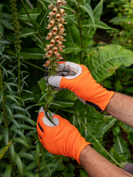 Person wearing orange gardening gloves holding a foxglove with green leaves and orange flowers