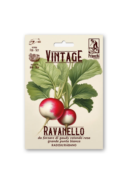 Packaging of Franchi Seeds featuring an illustration of red round radishes with white tips and green leaves, labeled as 'Vintage Ravanello'.