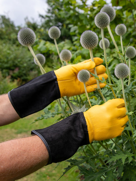 Gold Leaf Tough Touch Gardening Gloves, Womens