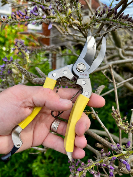 Niwaki Daikiba Secateurs with holster