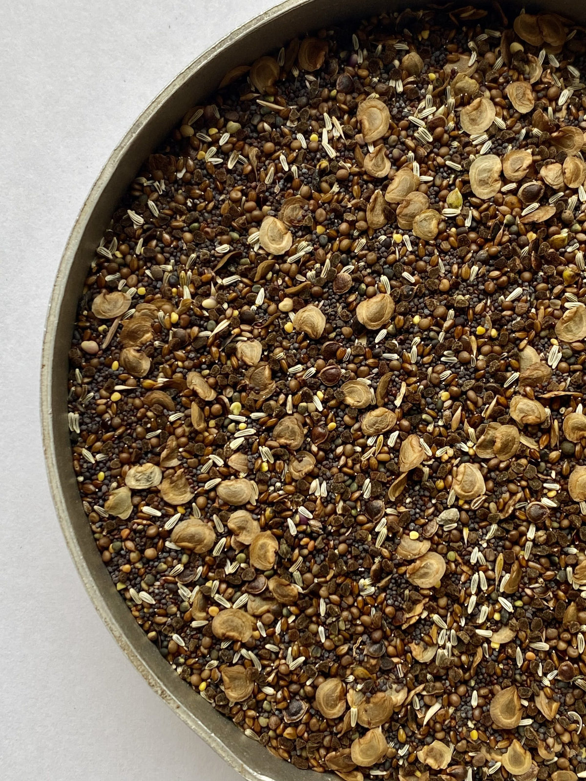 Kent Wildflower Seeds - Naturalised Wildflower Border Mix