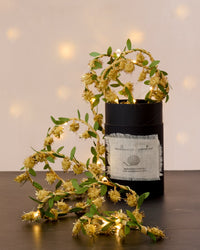 Melanie Porter Gold Pompom Fairy Lights
