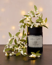 Melanie Porter Magical Mistletoe Fairy Lights