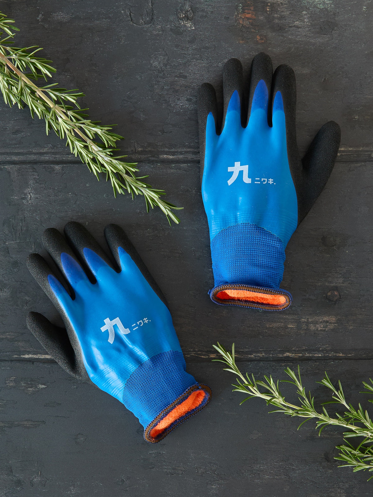 Pair of blue gardening gloves with black cuffs on a dark wooden surface with greenery.