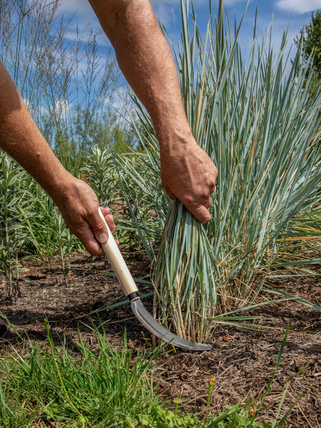 Niwaki Herbaceous Sickle