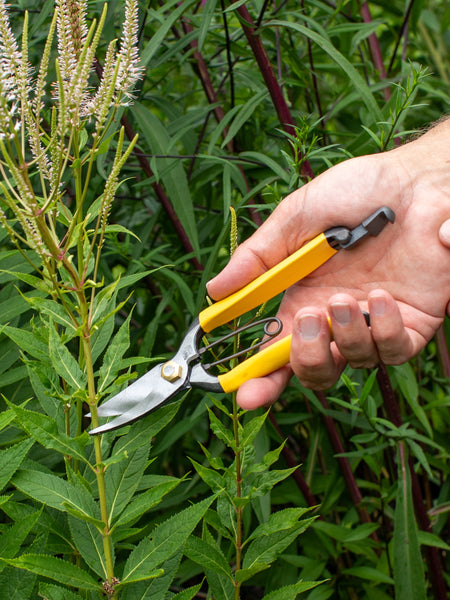Niwaki GR Pro Lightweight Secateurs