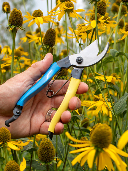 Niwaki Mainichi Secateurs - Left Handed