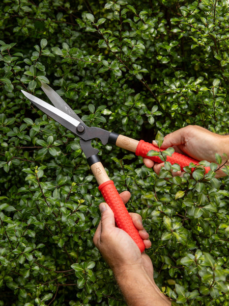 Niwaki Mini Shears