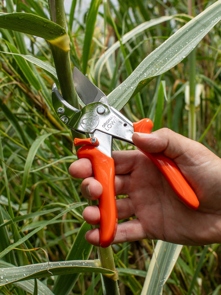 Original LÖWE 10.107, The Original Anvil Secateurs