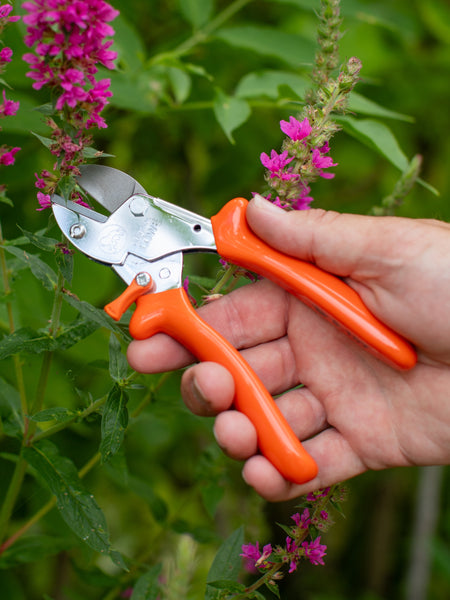 Original LÖWE 5.107, The Original Anvil Secateurs
