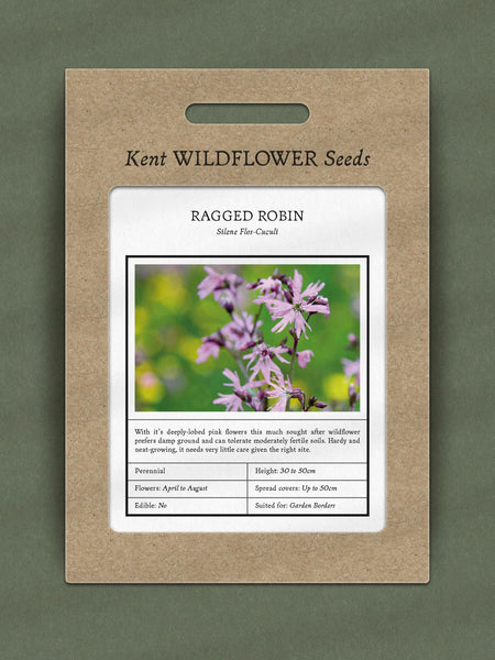 Kent Wildflower Seeds - Ragged Robin (Silene Flos-Cuculi)