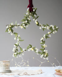 Melanie Porter Mistletoe Star Light Decoration