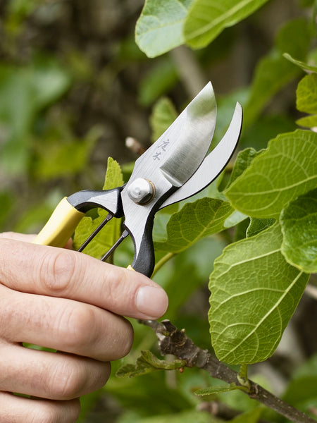 Niwaki Higurashi GR Secateurs