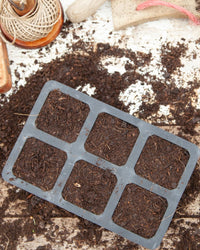 Natural Rubber Seed Tray, 6 Large Cells