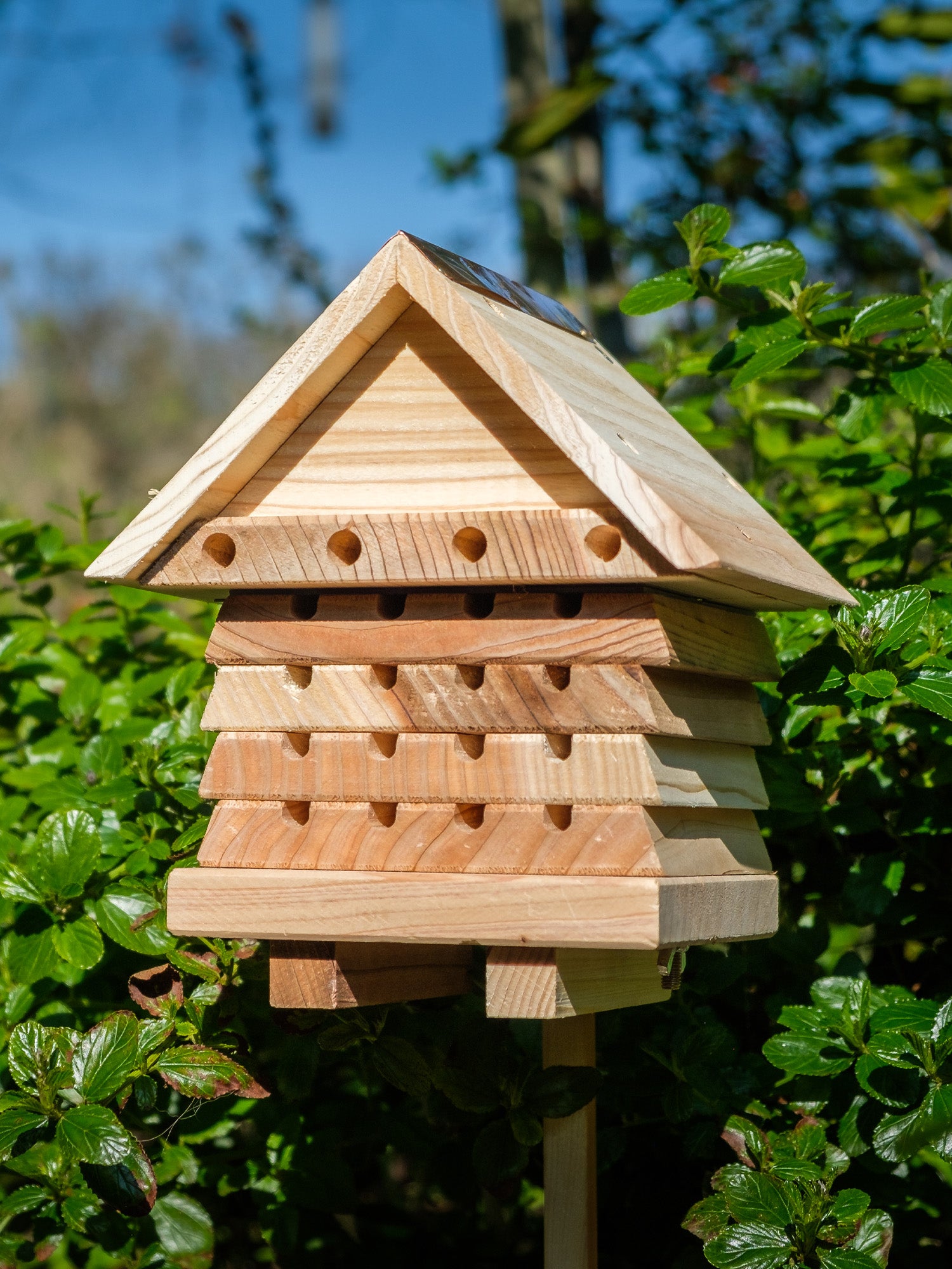 Interactive Solitary Bee Hive – Dan Cooper Garden