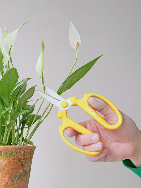 Niwaki Sakagen Flower Scissors, Yellow
