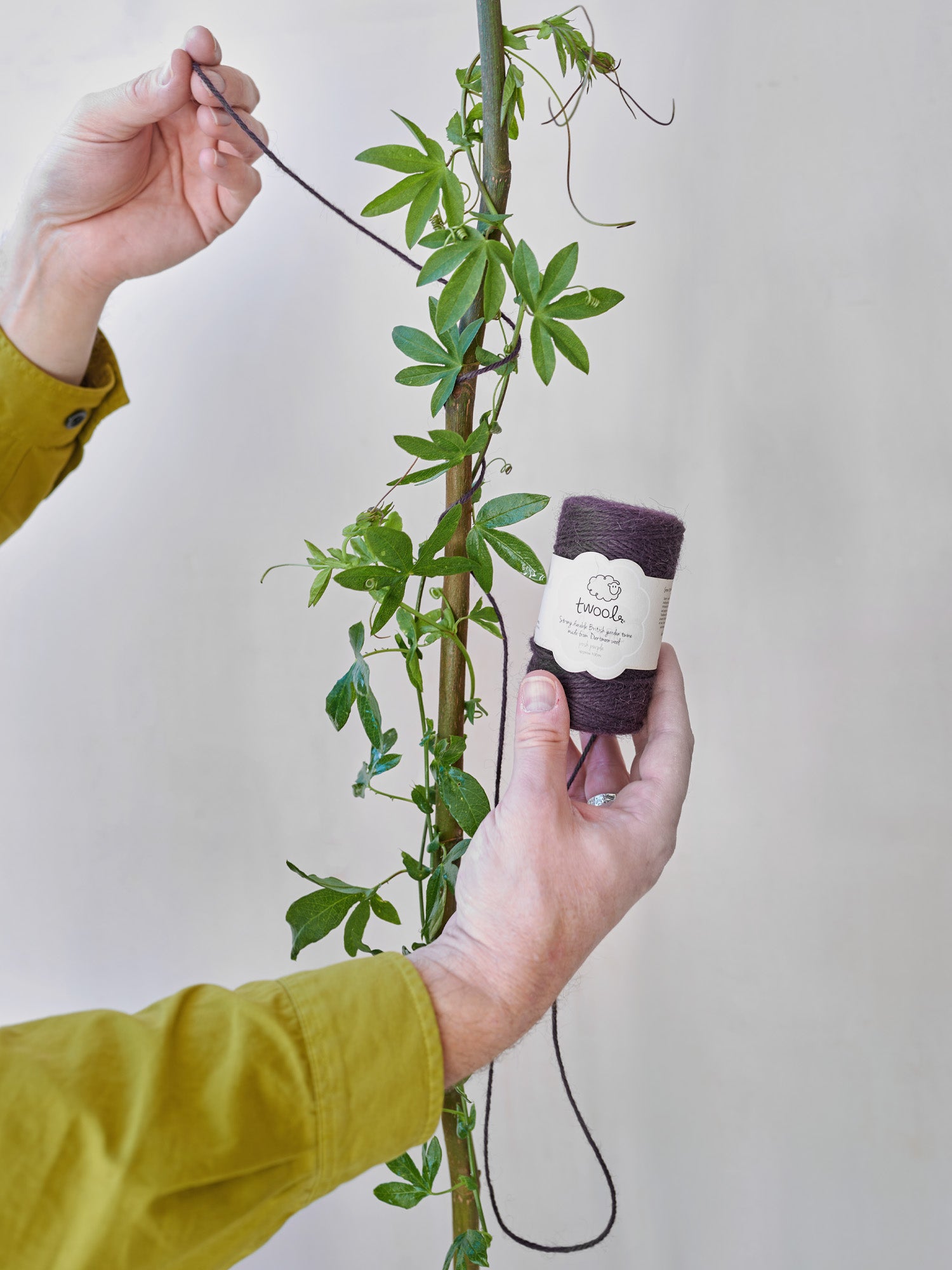 Twool Sustainable Wool Garden Twine, Purple Dan Cooper Garden